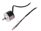 Encoder Incremental 12-24V DC 5000 imp/rotație IP50 ax 6 mm