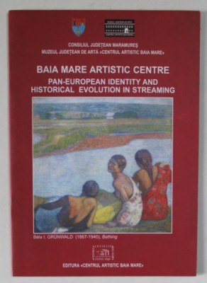 BAIA MARE ARTISTIC CENTRE , PAN - EUROPEAN IDENTITY AND HISTORICAL EVOLUTION IN STREAMING , 2010 foto