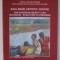 BAIA MARE ARTISTIC CENTRE , PAN - EUROPEAN IDENTITY AND HISTORICAL EVOLUTION IN STREAMING , 2010