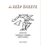 A sz&eacute;p &eacute;rzete - Id&eacute;zetek Varga Csaba k&ouml;nyveiből