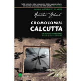 Cromozomul Calcutta - Amitav Ghosh