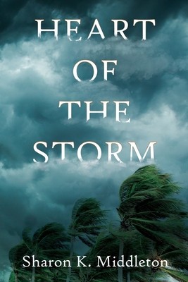 Heart of the Storm foto