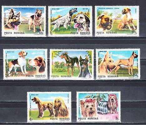 A11 TX3 1 - 1990 - Expozitia mondiala canina Brano