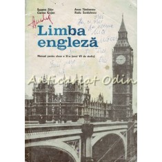 Limba Engleza. Manual Pentru Clasa a XI-a (Anul VII De Studiu) - Anca Tanasescu