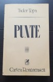 Punte - Tudor Țopa
