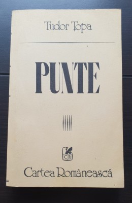 Punte - Tudor Țopa foto
