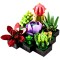 Contructie 3D, plante suculente 9 specii independente, 770 piese, multicolor