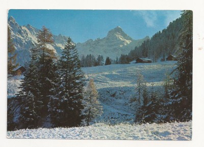 AT6 -Carte Postala-AUSTRIA- Zimbaspitze 2643 m, circulata foto