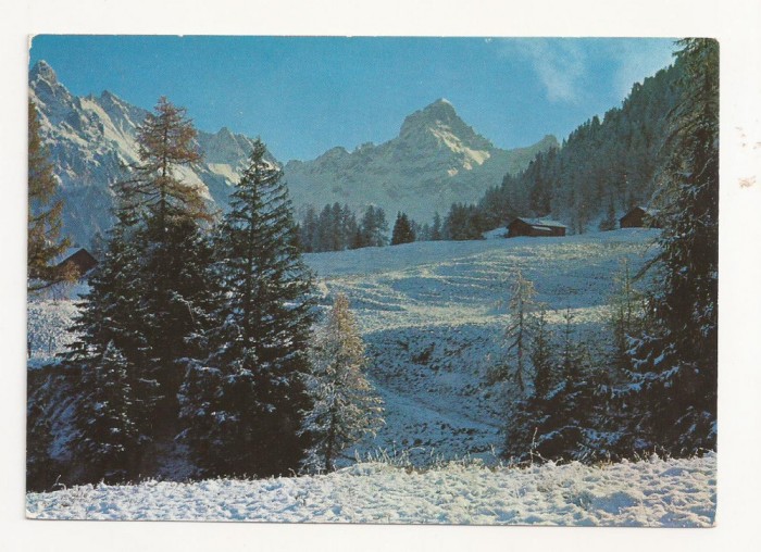 AT6 -Carte Postala-AUSTRIA- Zimbaspitze 2643 m, circulata