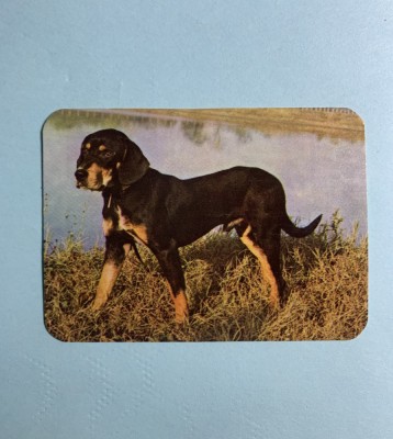 Calendar 1992 cățel foto