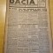 Dacia 13 februarie 1943-stiri al 2-lea razboi mondial