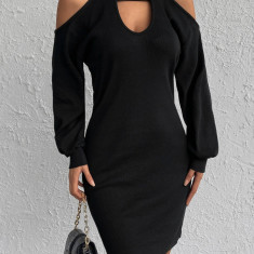 Rochie mini cu decolteu si maneca lunga, negru, dama, Shein