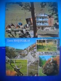 HOPCT LOT 2450 IP-TARA HATEGULUI -JUD HUNEDOARA-2 CARTI POSTALE-CIRCULATE, Circulata, Printata