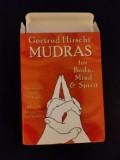 SET CARTI MUDRAS (KUNDALINI, MUDRA, HINDUISM, YOGA)