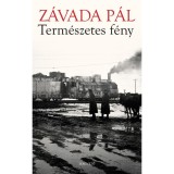 Term&eacute;szetes f&eacute;ny - Az arch&iacute;v k&eacute;pek reg&eacute;nye - Z&aacute;vada P&aacute;l