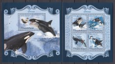 Mozambic 2018 - Fauna Marina - ORCA - BL + KB - MNH - Michel 42 Eur. foto