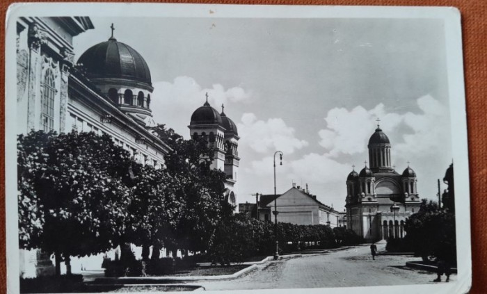 Carte postala, Satu Mare, perioada interbelica