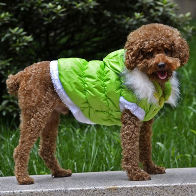 Jachetă pentru c&amp;acirc;ine, cu glugă detaşabilă - verde, M foto