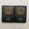 Vikar Bela - A magyar nepkoltes remekei - 2 Vol. - 1901