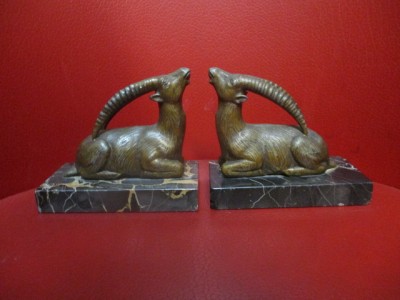 Berbeci/capre ibex foto