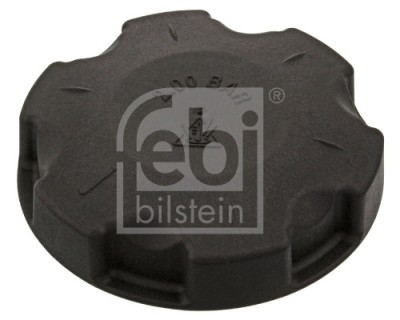 FEBI BILSTEIN 46222 buson,vas expansiune foto