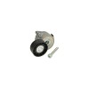 Intinzator curea FIAT STILO Multi Wagon 192 DAYCO APV1088