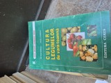 Cultura legumelor vara-toamna vintage