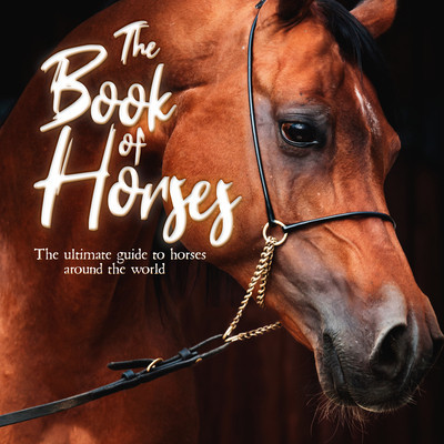 The Book of Horses: The Ultimate Guide to Horses Around the World foto