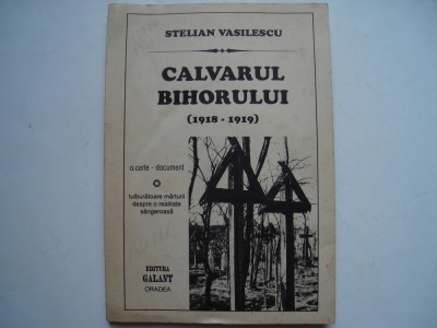 Calvarul Bihorului (noiembrie 1918 - aprilie 1919) - Stelian Vasilescu foto