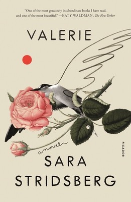 Valerie: Or, the Faculty of Dreams: A Novel foto