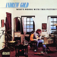 VINIL Andrew Gold ‎– What's Wrong With This Picture? -VG+ -