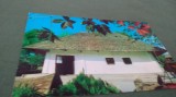 CARTE POSTALA HUMULESTI -CASA MEMORIALA ION CREANGA CIRCULATA, Fotografie
