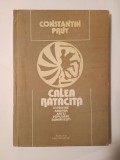 Constantin Prut - Calea rătăcită - o privire asupra artei populare rom&acirc;nești (1991)