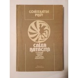 Constantin Prut - Calea rătăcită - o privire asupra artei populare rom&acirc;nești (1991)