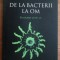 Ernst Mayr - De la bacterii la om. Evolutia lumii vii