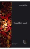 O candela in noapte &ndash; Monica Pillat