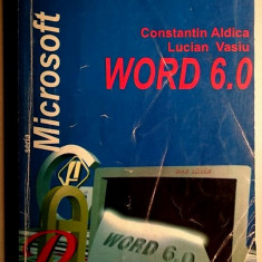 Forte Computers Word 6.0 - Constantin Aldica, Lucian Vasiu