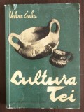 Valeriu Leahu - Cultura Tei