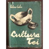 Valeriu Leahu - Cultura Tei