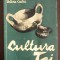 Valeriu Leahu - Cultura Tei