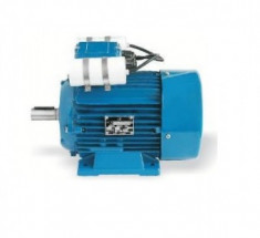 Motor monofazat 0.75 Kw, 1500 rot/min MMF80 Electroprecizia foto