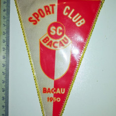 FANION SPORT CLUB BACAU