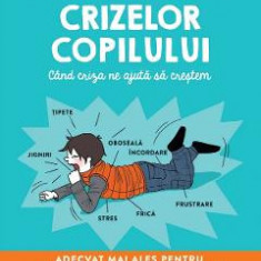 Micul dictionar ilustrat al crizelor copilului - Anne-Claire Kleindienst, Lynda Corazza