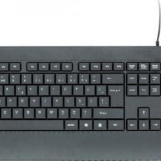 Tastatura Mecanica Platinet K110 45656, USB, Layout US (Negru)