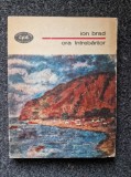 ORA INTREBARILOR - Ion Brad (BPT)