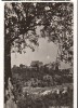 CPIB 16852 CARTE POSTALA - VEDERE DIN SIGHISOARA, RPR, Necirculata, Fotografie
