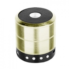 Boxa portabila elSales ELS-887 cu Bluetooth, USB, SD Card, Radio FM, auriu
