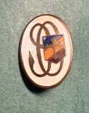 Insigna regalista organizatia studentilor crestini
