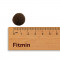 Foto  - 2