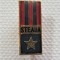 Insigna Steaua Bucuresti (2)